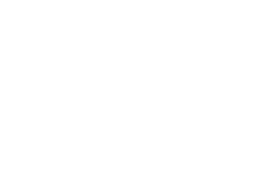 logo transperent