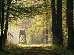 1600_1060_stand_sun.jpg